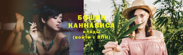 стафф Вязьма